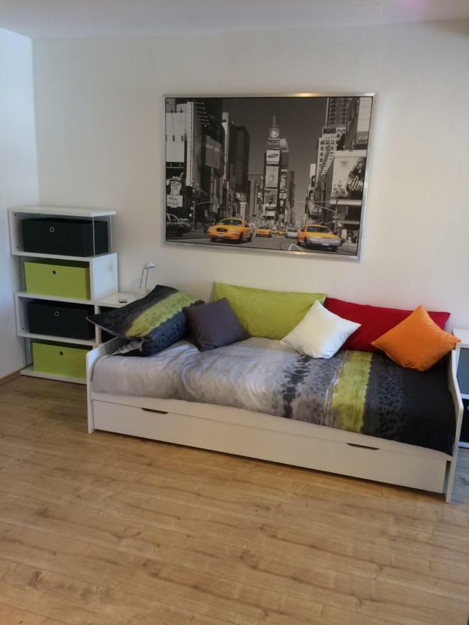 Alte Schreinerei Apartment Veringendorf Екстериор снимка